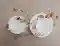 tellermeer-tasse-und-untertasse-espressotasse-und--untertasse-basic-kaffeeloffel-und